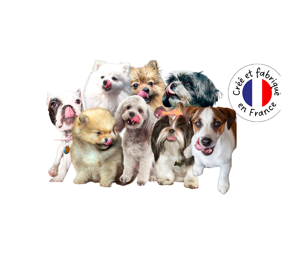 Noticias nuevas recetas